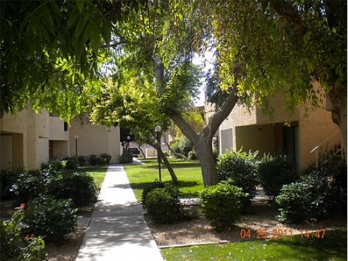 Papago Park Apartments Phoenix Exterior and Clubhouse