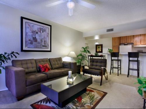 Eden Apartments Tempe Interior and Setup Ideas