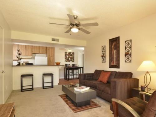 Eden Apartments Tempe Interior and Setup Ideas