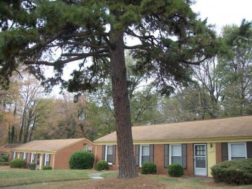 English Green Charlotte Exterior and Clubhouse